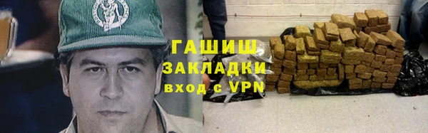 индика Бородино
