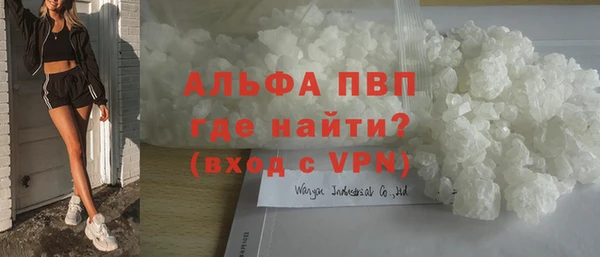индика Бородино