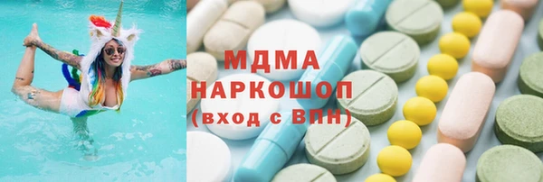 индика Бородино
