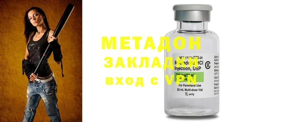 индика Бородино