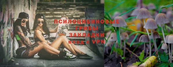 индика Бородино