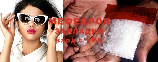 индика Бородино