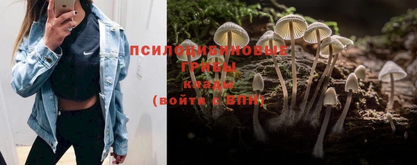 дживик Богородицк