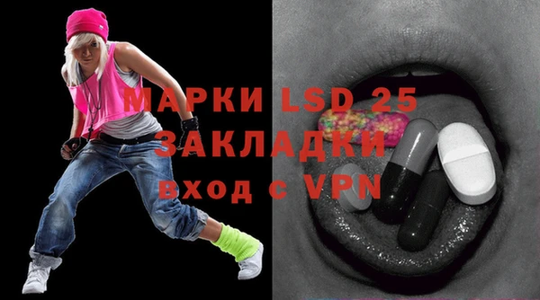 индика Бородино