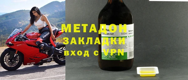 индика Бородино