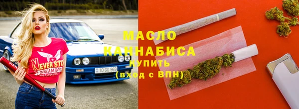 индика Бородино