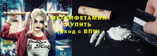 индика Бородино