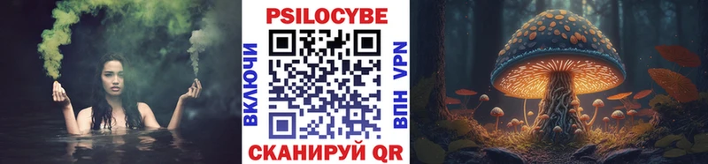 Псилоцибиновые грибы Magic Shrooms  Купить где  Грайворон 