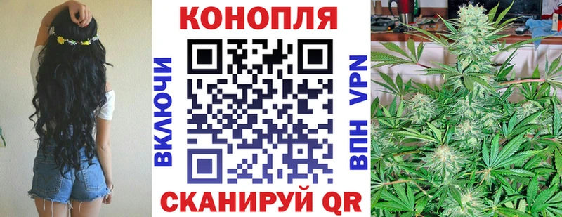 Купить закладки  Грайворон  Бошки Шишки Ganja 